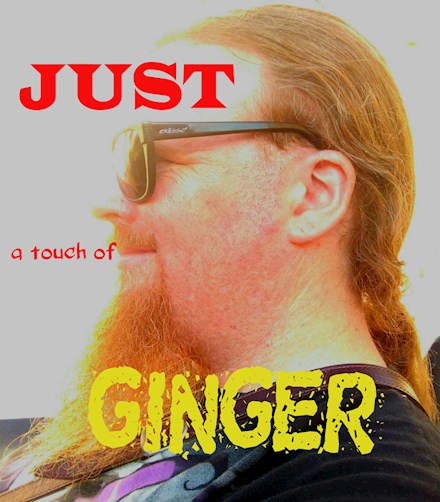 cover for the ebook "just a touch of ginger"