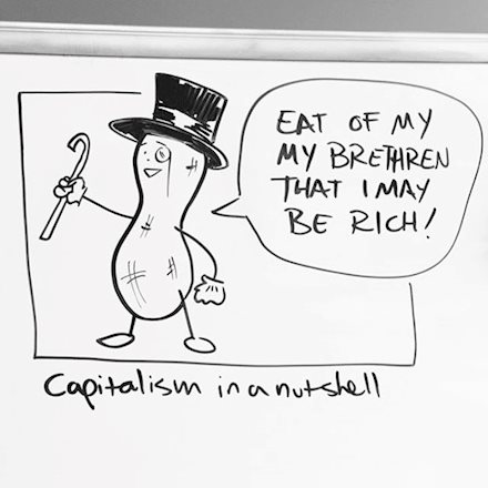 Capitalism in a Nutshell