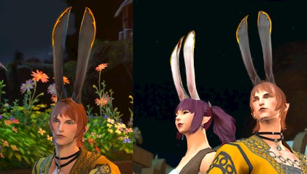 New Moon Rabbit's Ears