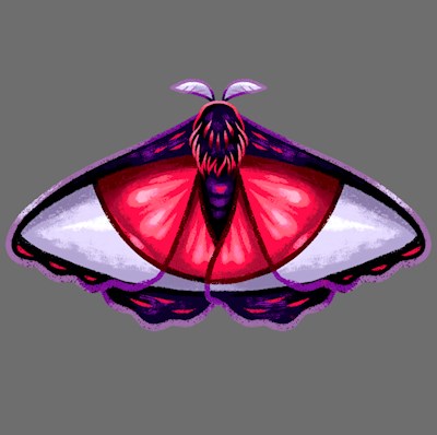 Vampire eye moth design. 