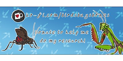 Help me do research!