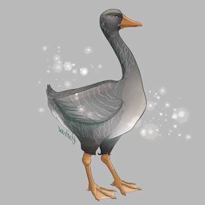 A Magical Goose Lad