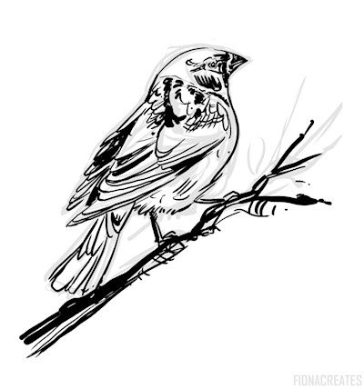 Sparrow Sketch