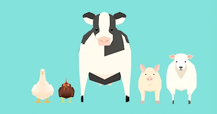 Farm animals asset pack
