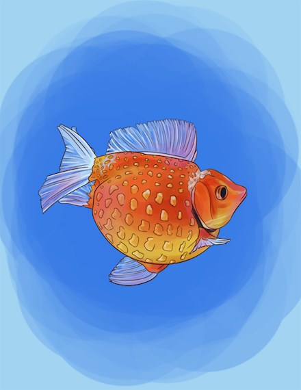 Fat Weird Goldfish