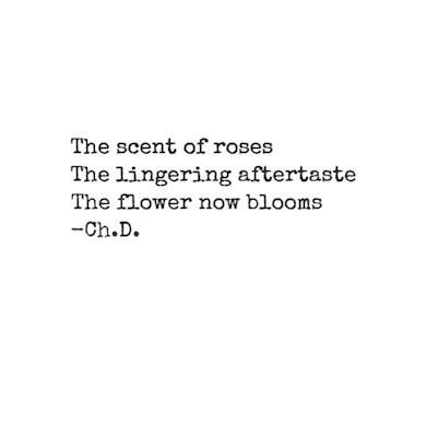 Haiku #1