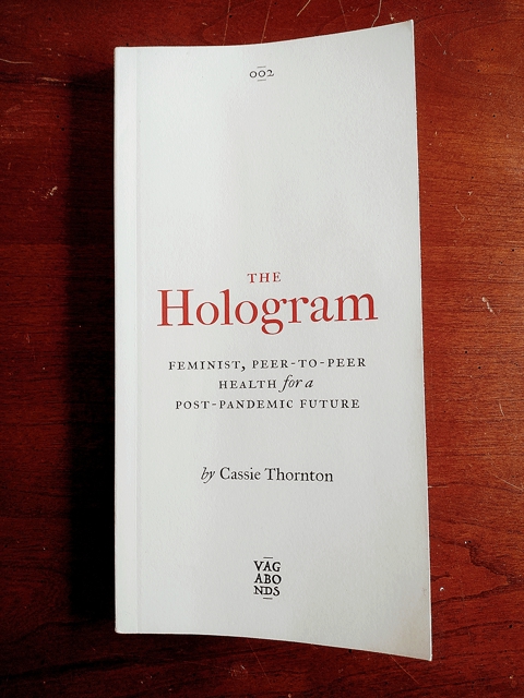 Book of the Month |The Hologram by Cassie Thornton