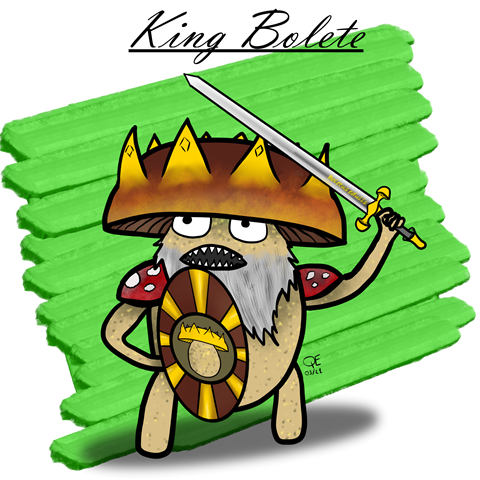 King Bolete