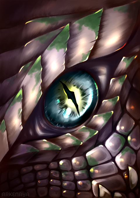 Commission Dragon Eye