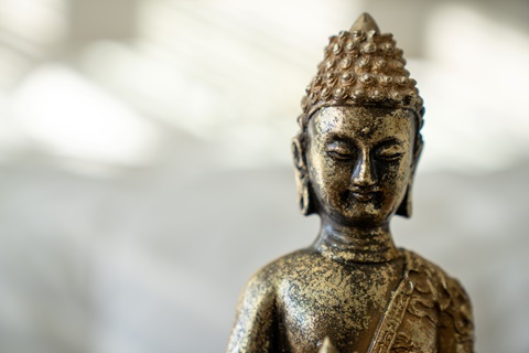 How Buddhism & Psychotherapy Massively Reduced My 