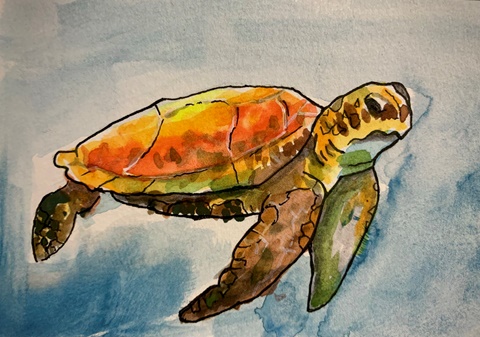 Sea turtle watercolor 