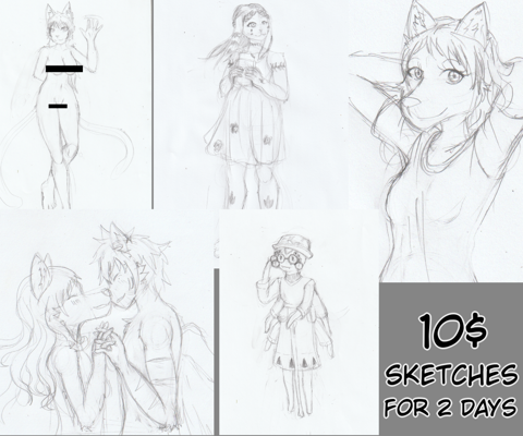 Monthly sketch sale
