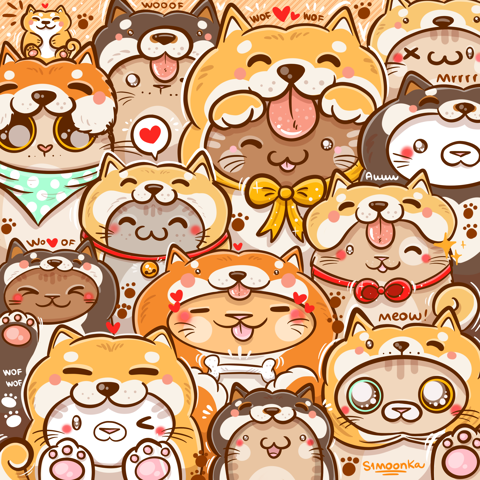 Bunch of shiba inu cats