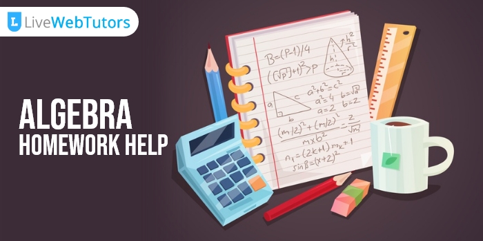Take Algebra Homework Help USA