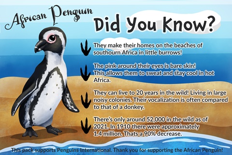 African Penguin Facts!