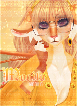Mooilo | Single DP
