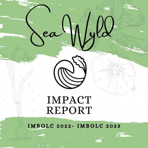 SeaWyld Impact Report (Imbolc 2022-Imbolc 2023)