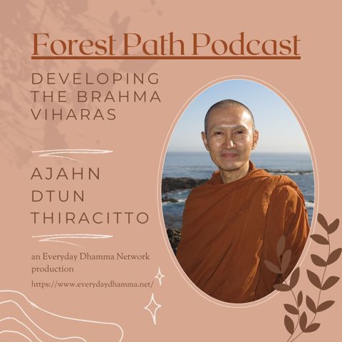 Developing the Brahma Viharas | Ajahn Dtun