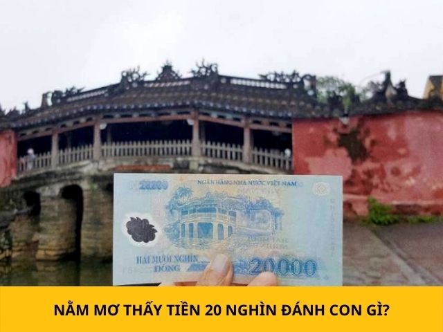 Tổng Hợp Thông Tin Kết Quả Tìm Kiếm Từ Khóa 