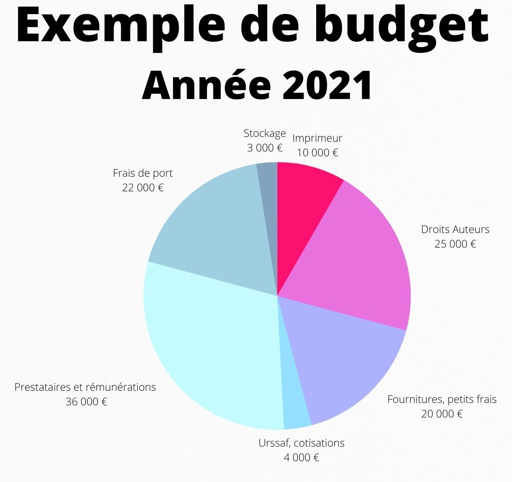 Exemple d'un budget