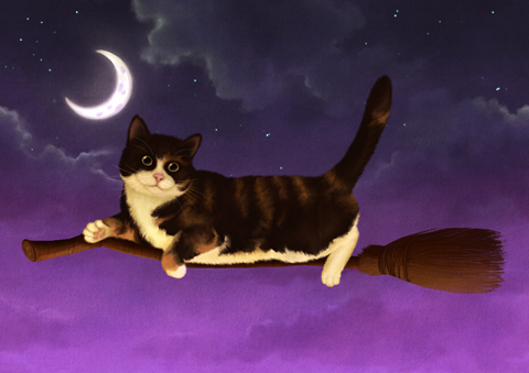 Tilly, now with added whiskers