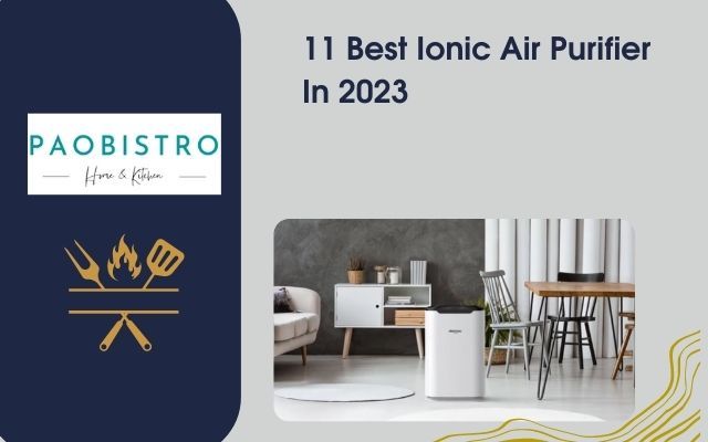 11 Best Ionic Air Purifier In 2023