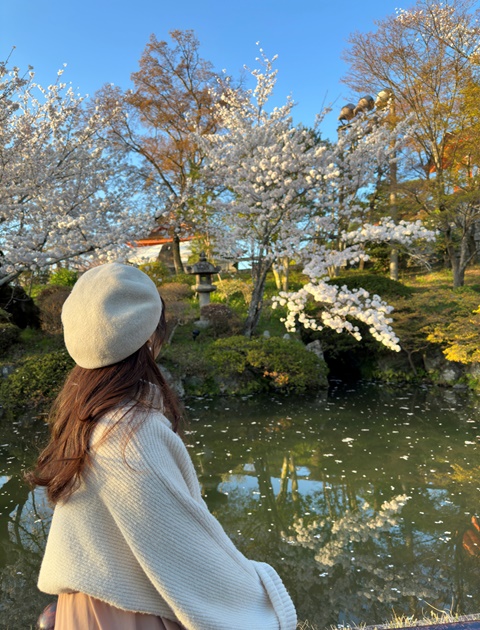 Kiyomizudera Kyoto with cherry blossoms!