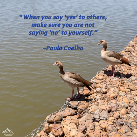 Quote by Paulo Coelho