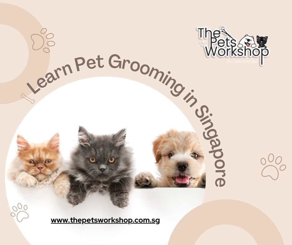 Are you ready to transform your passion for pets