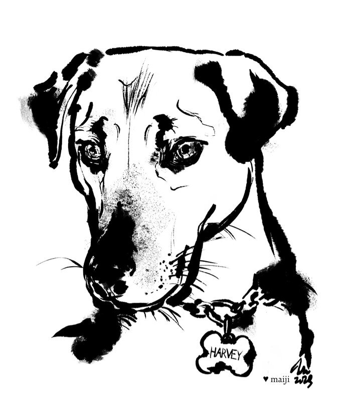 Harvey