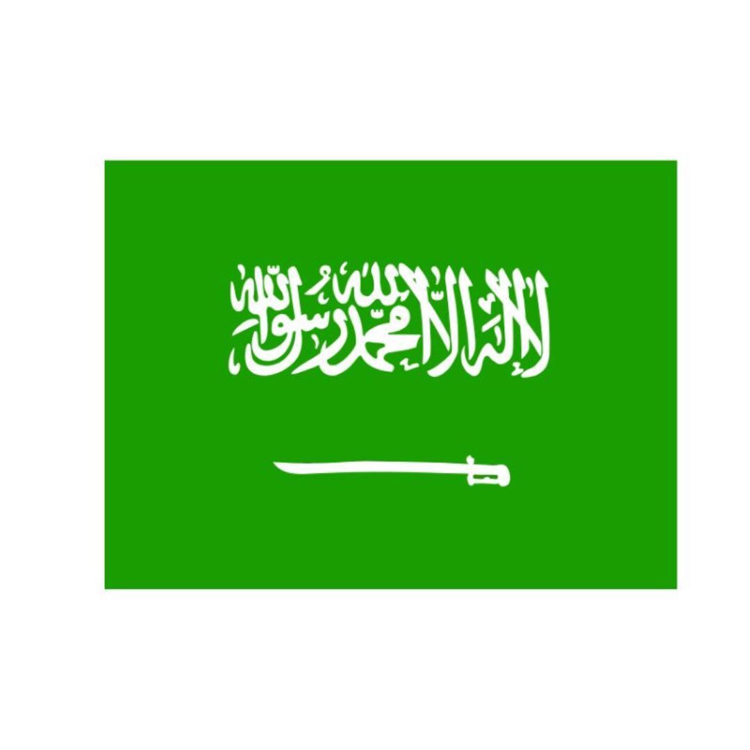 Simplify Your Travel Plans Apply for a Saudi Visa 