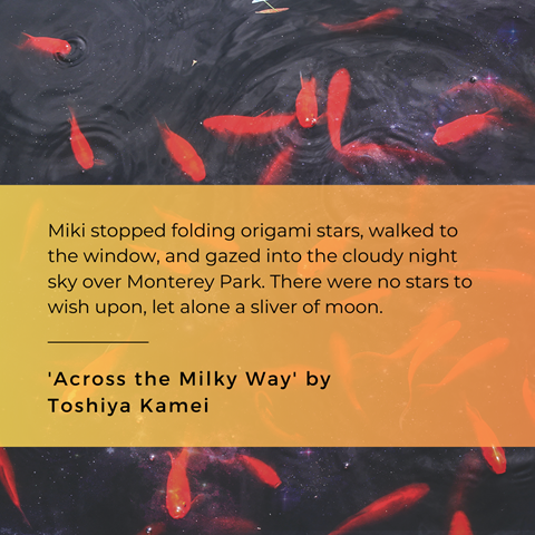 'Across the Milky Way' by Toshiya Kamei