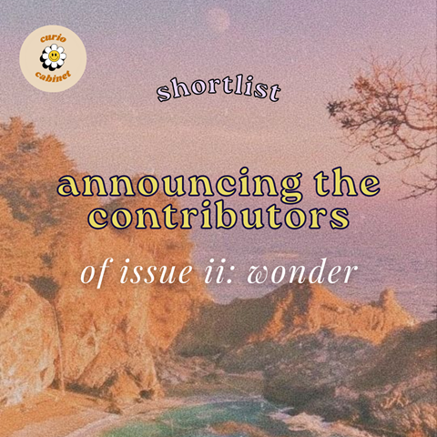 Announcing the shortlist for Issue II: Wonder!