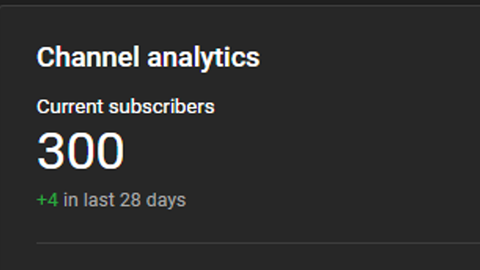 300 Subscribers