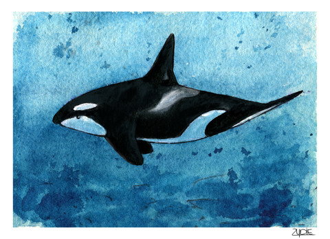 Orca Nr.1 - FineART-Print - Zydie's Ko-fi Shop - Ko-fi ️ Where creators ...