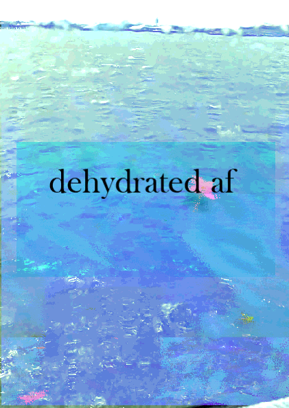 new phone wallpaper - "dehydrated af"