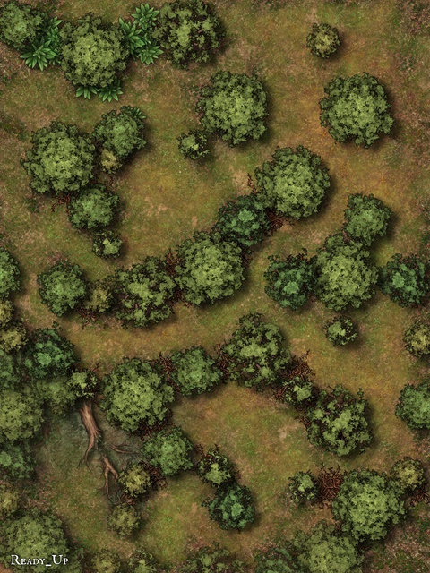 30x40 Forest Maze - Ready_Up's Ko-fi Shop - Ko-fi ️ Where creators get ...