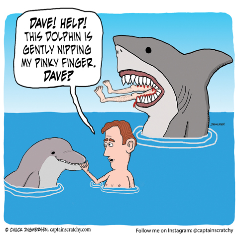 Devious dolphin