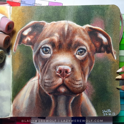 Puppy portrait - markers #03
