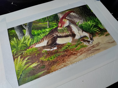 Parasaurolophus painting, WIP