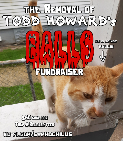Removal of Todd Howard's Balls Fundraiser