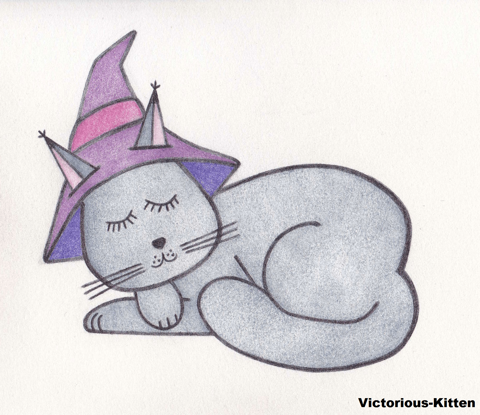 Wizard Cat!