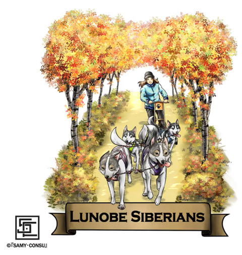 Lunobe Siberians (commission)