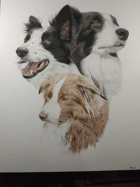 commission Dusty, Indy & Finley
