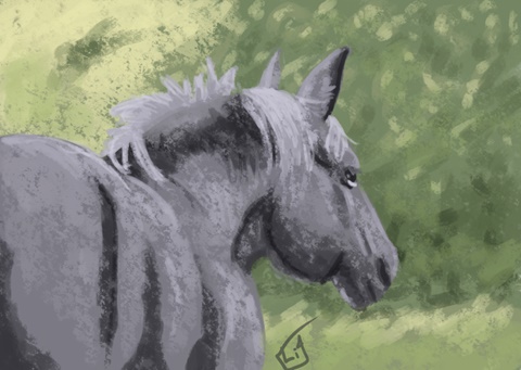 Pasture Horse: Thumbnail Value Study