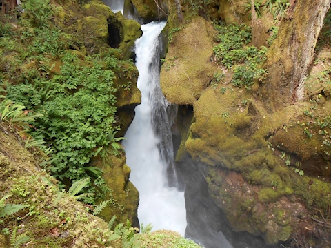 Waterfall Washington state 2