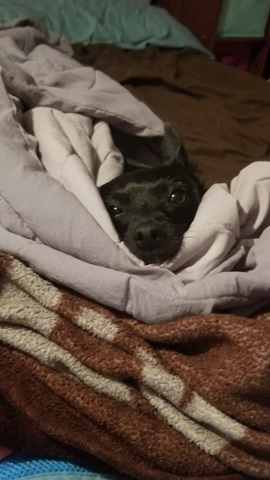 Snuggly baby doesn't want to leave bed