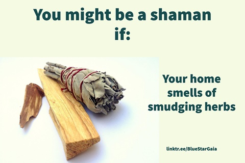 You might be a shaman if... #1