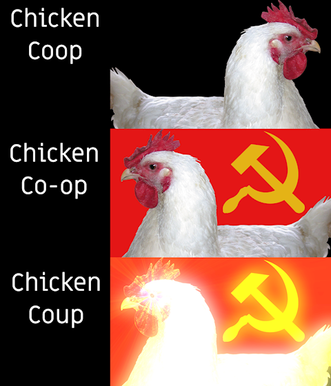 Politics Chickens