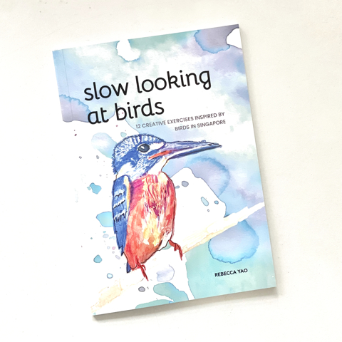 Check out our new book! SLOW LOOKING AT BIRDS